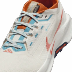 Nike Men’s React Pegasus Trail 5 GORE-TEX (003 - Phantom/Vintage Coral-Dark Russet) -Tcrunning Sale Store AURORA FQ0908 003 PHSYD001 2000