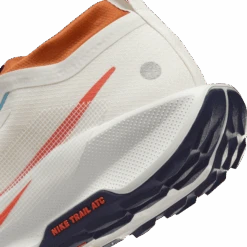 Nike Men’s React Pegasus Trail 5 GORE-TEX (003 - Phantom/Vintage Coral-Dark Russet) -Tcrunning Sale Store AURORA FQ0908 003 PHSYD002 2000