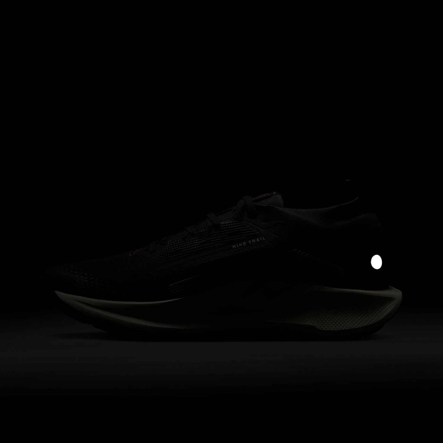 Nike Men’s React Pegasus Trail 5 GORE-TEX (007 - Off Noir/Pale Ivory-Black-Monarch) 11 Nike Men’s React Pegasus Trail 5 GORE-TEX (007 - Off Noir/Pale Ivory-Black-Monarch) - Image 11