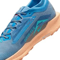 Nike Men’s React Pegasus Trail 5 GORE-TEX (400 - Blue Beyond/Blue Void-Copper Moon) -Tcrunning Sale Store AURORA FQ0908 400 PHSYD003 2000