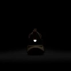 Nike Women’s Wildhorse 10 (201 - Mink Brown/Orange Chalk-Cave Stone) -Tcrunning Sale Store AURORA FV2337 201 PHSBH200 2000